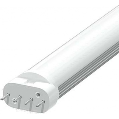 NBB 259200016