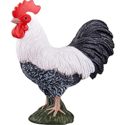 Animal Planet Mladý kohút