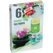 Admit Tea Lights Water Lily 6 ks