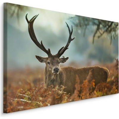 MyBestHome BOX Plátno Nádherný Jelen V Období Říje Varianta: 90x60