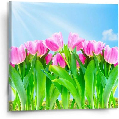 Sablio Obraz Růžové tulipány - 110x110 cm