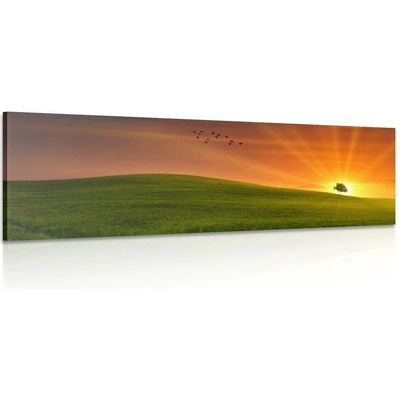 Obraz strom na louce - 90x30