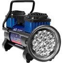 ALCA 227100
