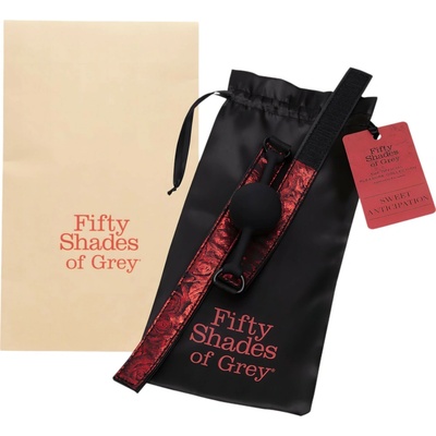 Fifty Shades of Grey Sweet Anticipation Ball Gag