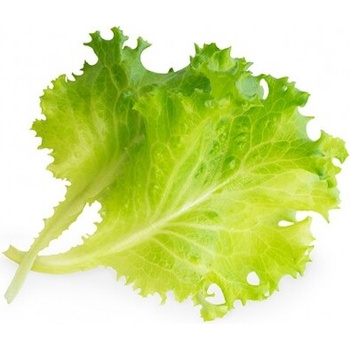 Veritable Вложка за семена Lingot листни зеленчуци масло маруля (lingot-salata-maslowa)