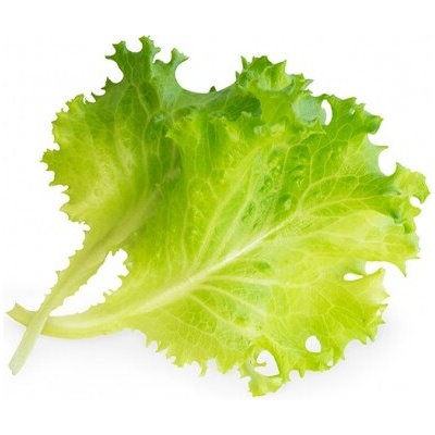 Veritable Вложка за семена Lingot листни зеленчуци масло маруля (lingot-salata-maslowa)