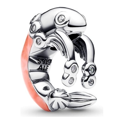 Pandora 793896C01