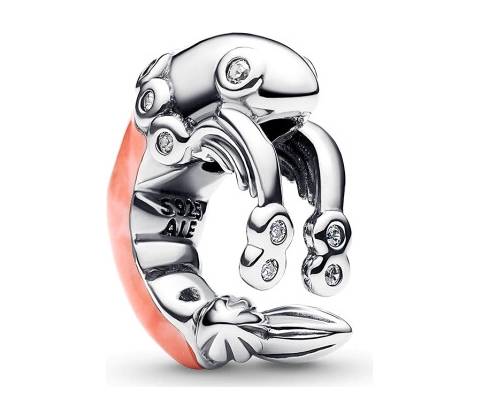 Pandora 793896C01