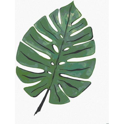 Zuty Malování podle čísel LIST MONSTERA ALEXANDRIA GILBERT