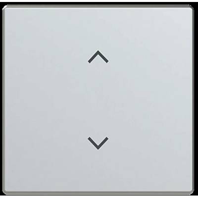 Busch-Jaeger 2CKA006220A0990