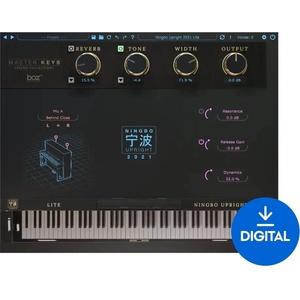 Boz Digital Labs Ningbo Upright 2021 Lite (Дигитален продукт)