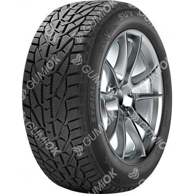 Strial Winter 225/40 R18 92V