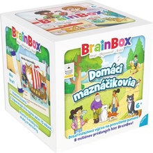 Asmodee BrainBox Domácí maznáčikovia - SK