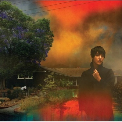 We've Been Going About This All Wrong - Sharon Van Etten LP
