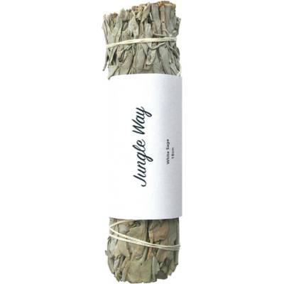 Jungle Way Šalvěj bílá Kalifornská svazek cca 18 cm