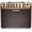 Fishman LOUDBOX ARTIST