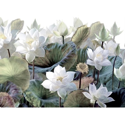 AG design FTNS-1254 vliesová fototapeta Emboss Flowers rozměry 360 x 270 cm