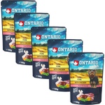 ONTARIO Капсула ONTARIO DOG Свинско с Пиле в бульон 5 x 100 г