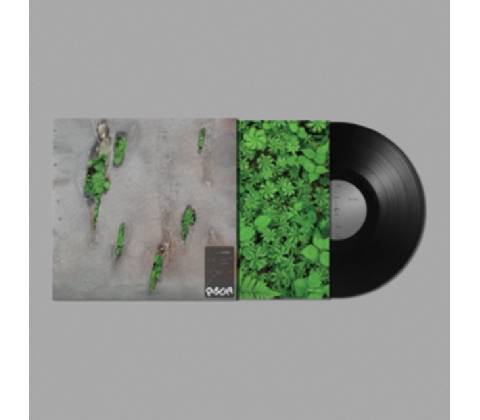 Agor - Koreless LP