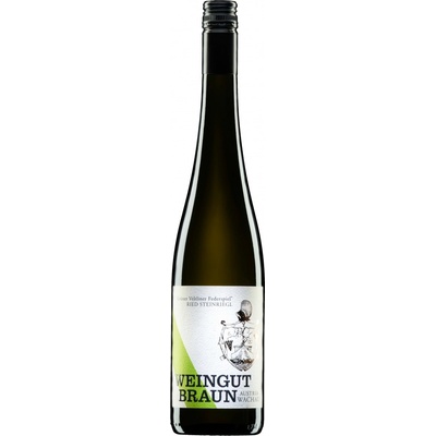 Weingut Braun Federspiel Ried Steinriegl Wachau Dac Veltlínské zelené suché bílé 2020 13,5% 0,75 l (holá láhev)