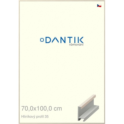 DANTIK rám na obraz 70 x 100 Dýha slonová kost