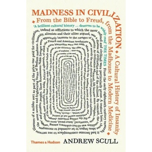 Madness in Civilization (ISBN: 9780500295632)
