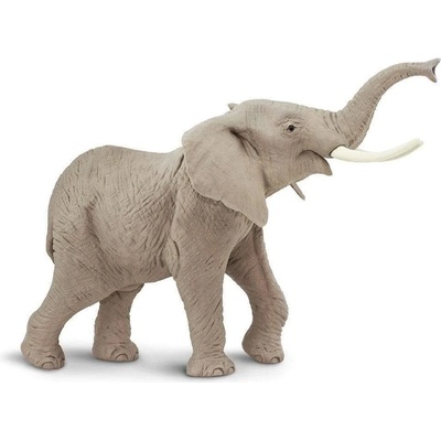 Safari Ltd. Slon africký