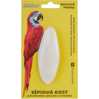 Juko sépiová kost 12 cm