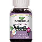 Nature's Way Sambucus For Kids 25 mg [60 желирани бонбони]