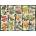 Ravensburger - Puzzle Tropical Butterfly - 1 000 piese