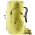 Deuter Climber 22 sprout-linden
