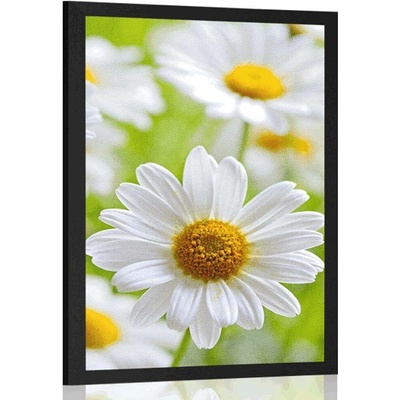 Plakát jarní louka plná květin - 20x30 silver