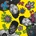 De La Soul - 3 Feet High And Rising (Coloured) (Box Set) (12 x 7" Vinyl) (0810098507394)