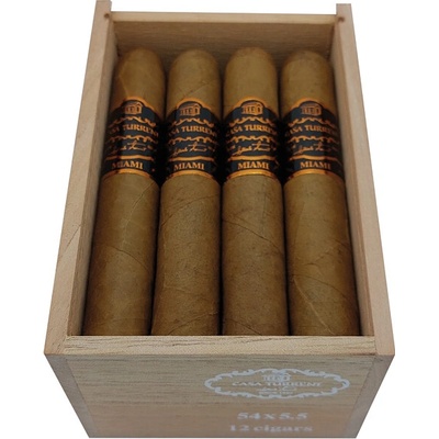 Casa Turrent Origins Robusto Miami 1 ks