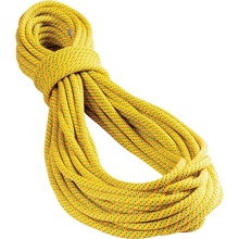 Tendon Ambition 9,8 mm 50 m