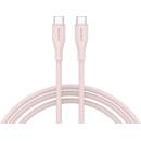 CANYON CNS-CC60SC10PS