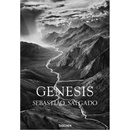 fo-Salgado-Genesis –