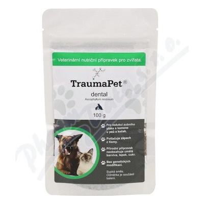 TraumaPet Ag dental 100 g