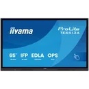 iiyama ProLite TE6513A-B2AG