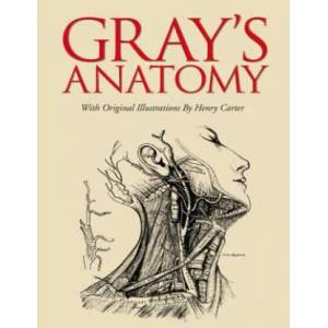 Grays Anatomy (2013)