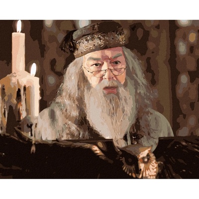 Zuty Malování podle čísel BRUMBÁL U SOVÍHO ŘEČNICKÉHO PULTU HARRY POTTER