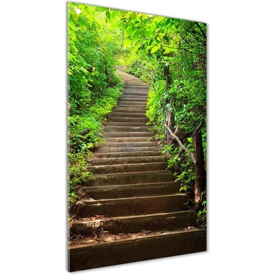 Vertikálny fotoobraz na skle Schody do lesa 50x100 cm