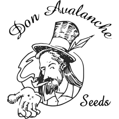Don Avalanche Seeds Don Gorilla Glue semena neobsahují THC 5 ks