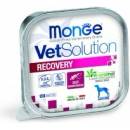 Monge VetSolution Dog Recovery 150 g