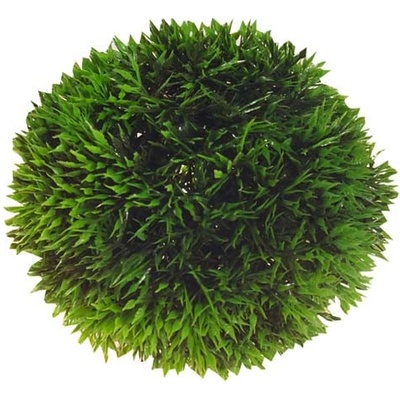 Hobby Plant Ball 9 cm