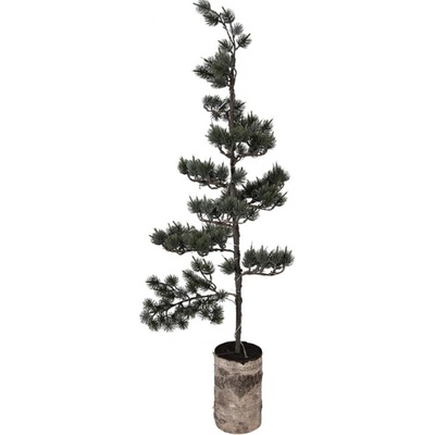 Umělý stromek na podstavci ve tvaru kmene s LED světýlky Sheenie L – 35x35x100 cm / 3xAAA