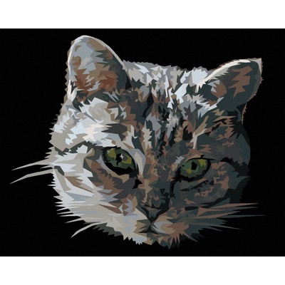 Zuty Malování Podle Čísel Šedá Kočka Portrét 80 x 100 Cm Plátno Rám 8596530094432