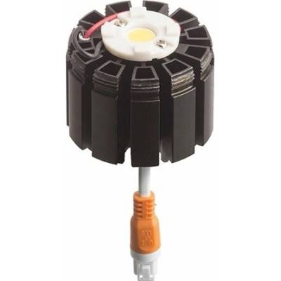 Rendl C01261X