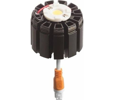 Rendl C01261X