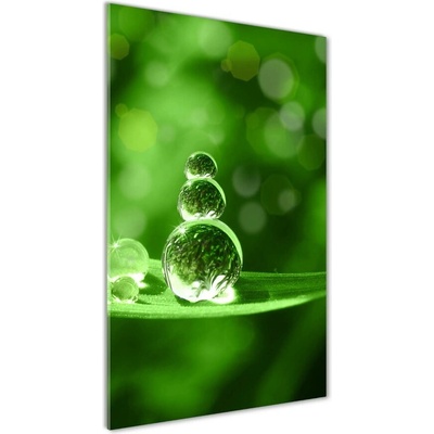 Vertikálny foto obraz sklo tvrdené Kvapky na tráve 50x100 cm